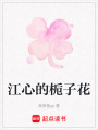 江心的梔子花