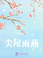 尖尾雨燕