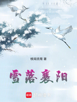 雪落襄陽
