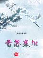 雪落襄陽