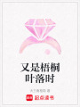 又是梧桐葉落時