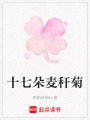 十七朵麥稈菊
