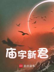 主角叫顾流陈金秀的小说在哪阅读