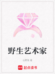 野生藝術家
