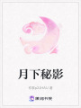 月下秘影