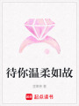 待你溫柔如故