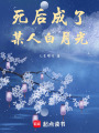 琉星燈