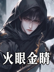 小说《火眼金睛》在线免费阅读