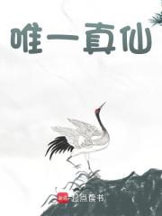 唯一真仙免费阅读（林云）小说完结版