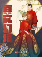 已完结小说《真实幻境》在线阅读