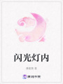 閃光燈內