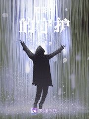 暗影中的守護
