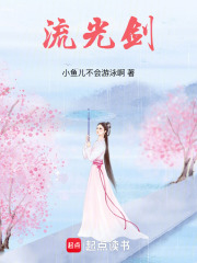 保鏢之流光劍