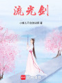保鏢之流光劍