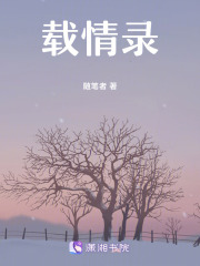 載情錄