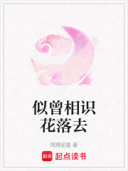 似曾相識花落去