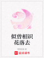 似曾相識花落去