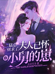 陆总别求了，夫人已怀你小舅的崽免费阅读，陆总别求了，夫人已怀你小舅的崽宋卿妤厉淮东小说无弹窗阅读