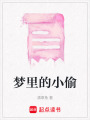 夢里的小偷