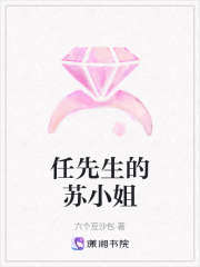 任先生的蘇小姐