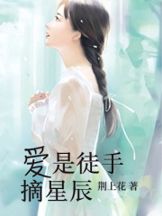 小说《爱是徒手摘星辰》在线免费阅读