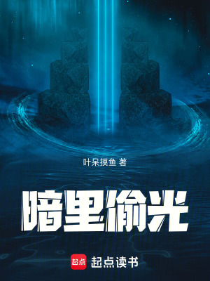 暗里偷光