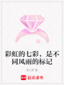 彩虹的七彩，是不同風雨的標記