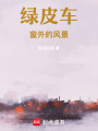 綠皮車窗外的風景