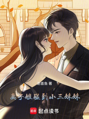 妻子姐碰到小三妹妹
