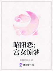 昭陽怨：宮女驚夢
