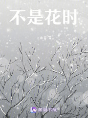 不是花時