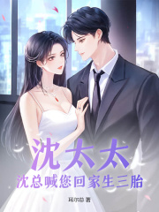 主人公叫时予沈淮之的小说沈太太，沈总喊您回家生三胎在线阅读