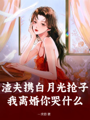主人公容聆沈西渡小说渣夫携白月光抢子？我离婚你哭什么在线无删减阅读