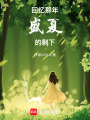 回憶那年盛夏的剩下
