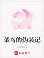 菜鳥的偽裝記
