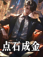 无删减版《点石成金》章节免费阅读