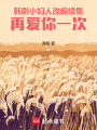 韓劇小婦人改編續集：再愛你一次