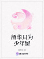 韶華只為少年留