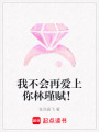 我不會(huì)再愛上你林瑾賦！