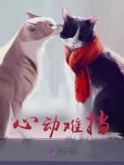 在线阅读心动难挡苏云岫许慕小说章节目录大结局-胖达文学