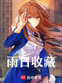 雨日收藏