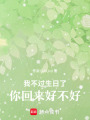 我不過生日了，你回來好不好