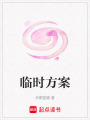 臨時方案
