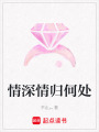 情深情歸何處
