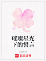 璀璨星光下的誓言