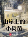 山崖上的小樹苗