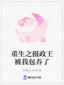 重生之?dāng)z政王被我包養(yǎng)了