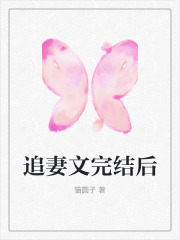 主人公沈曼秦渝小说追妻文完结后在线无删减阅读
