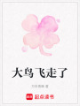 大鳥(niǎo)飛走了