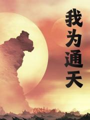 赵天通天小说《我为通天》在线阅读